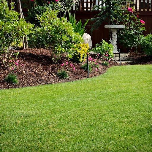 Real Gardens Cambridge — Customer photo