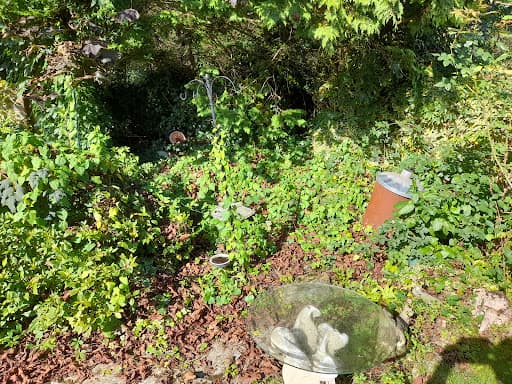 Your Eco Gardener — Customer photo