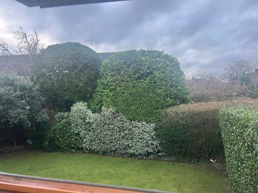 Cotswold Tree Surgeons Ltd — Customer photo