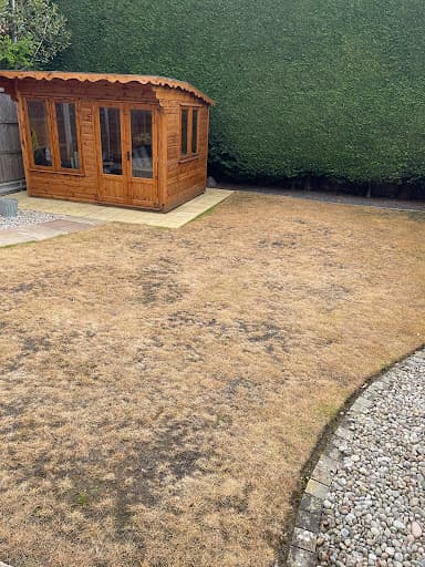 Elite Lawn Maintenance Ltd — Customer photo