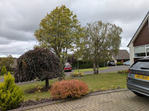 GlasGrow Tree Surgeons — Customer photo