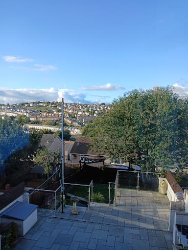 The Tree Surgery Company Ltd — Customer photo