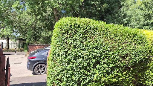 EU Gardening services — Customer photo