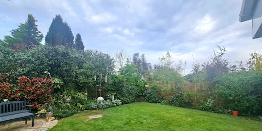 Specialised Tree Services — Customer photo