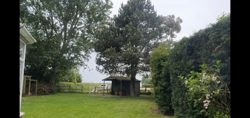 Yorkshire Tree Surgery — Customer photo