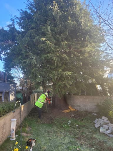 Aberdeen Area Tree Surgeons — Customer photo