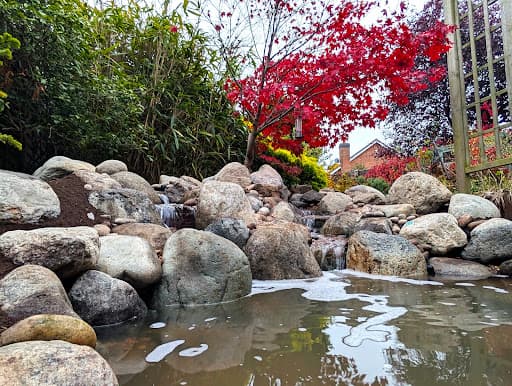 Shade Water Gardens — Customer photo