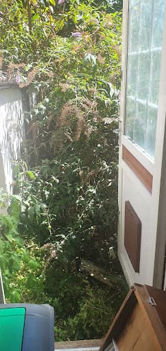 Urban Gardeners South East London — Customer photo