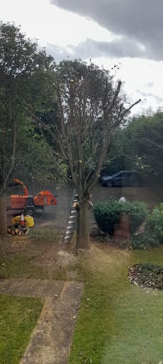 nttrees — Customer photo