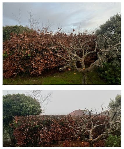 Sanctuary Gardens — Customer photo