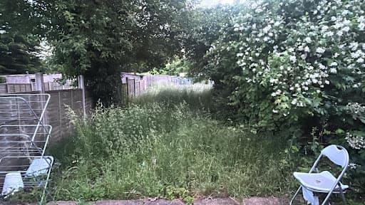 Tidy Gardeners Bristol — Customer photo