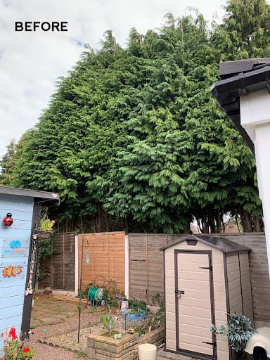 JK Arboriculture — Customer photo