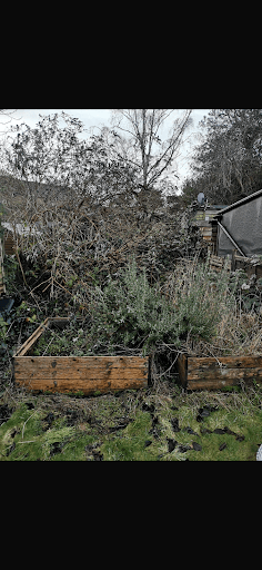 Bramble & Nettle Gardening Services — Customer photo