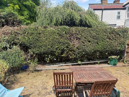 The Gardener — Customer photo