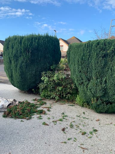 DM Gardening — Customer photo