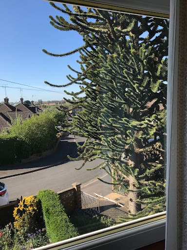 Thompson Tree Northants — Customer photo