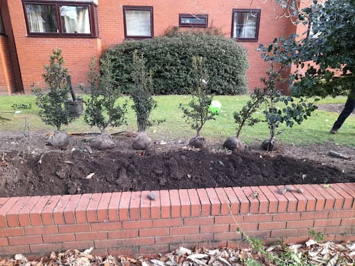Green Gardeners — Customer photo