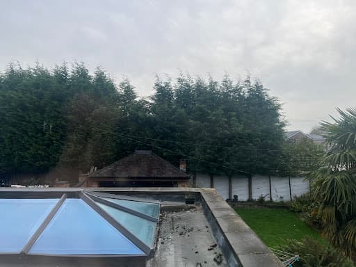 Manchester trees and landscapes ltd — Customer photo