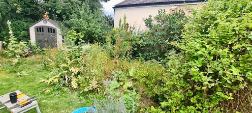 Brian's Gardening Services — Customer photo