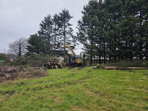 The Arb Team (Arborists and Consultants) — Customer photo