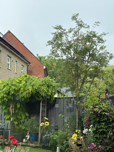 01793 Tree Surgeons LTD — Customer photo