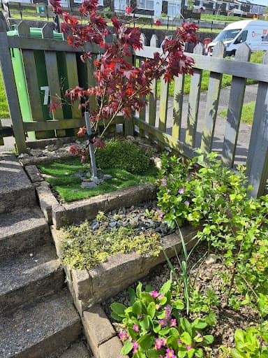 Waterlillie Clark Ltd — Customer photo