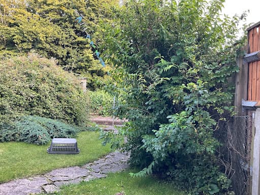 MacWest Gardening & Landscapes — Customer photo