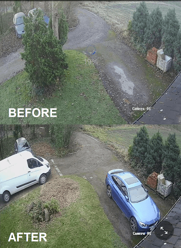 Arbworks Tree Services — Customer photo
