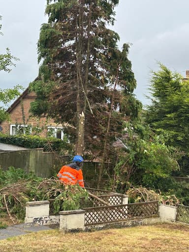 S.M. Tree Services NE — Customer photo
