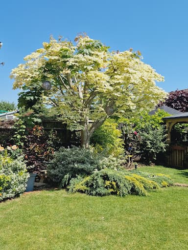 Cotswold Tree Surgeons Ltd — Customer photo