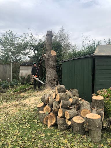 Target Trees — Customer photo