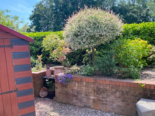 Liverpool Tree Surgeons — Customer photo