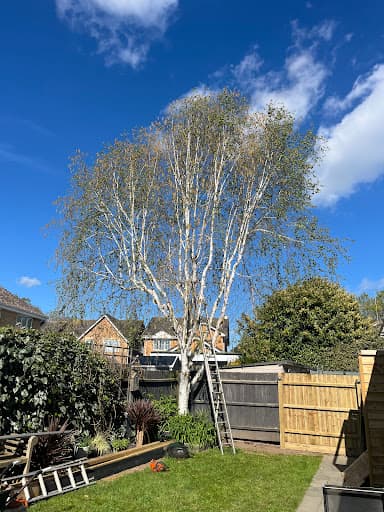 Special Branch Tree Services and Ground Maintenance — Customer photo