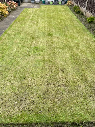 All Things Turf, A Cut Above — Customer photo