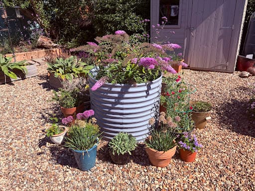 Willow Landscaping — Customer photo