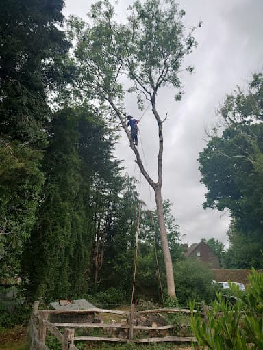 Oxford Tree Surgeons Ltd — Customer photo
