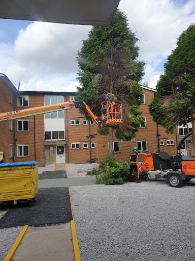 The Yorkshire Tree Fellas — Customer photo