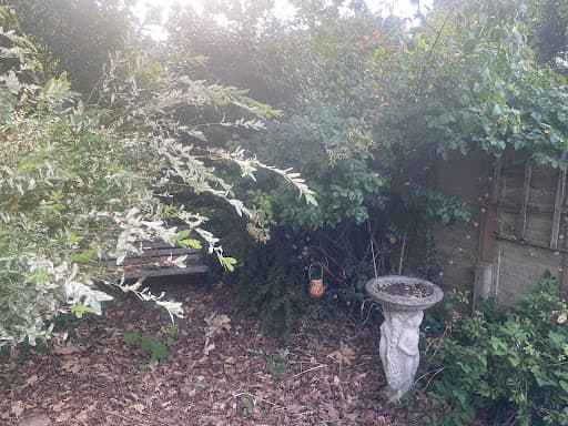 DM Gardening — Customer photo