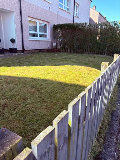 Jorges landscaping and gardening services — Customer photo