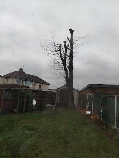 Tree Surgeons Liverpool — Customer photo