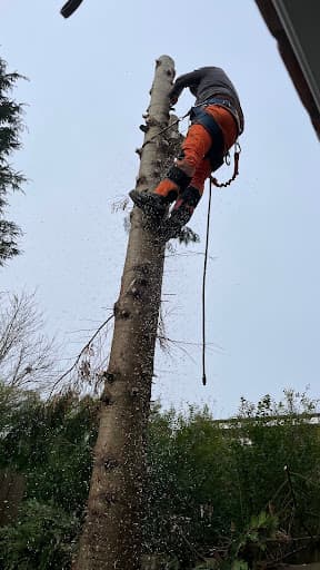 J and Son Trees and Landscapes — Customer photo