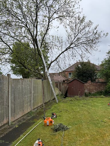 Oakland Tree Services Ltd — Customer photo