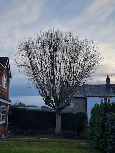 Firwood Tree & Garden Services Ltd — Customer photo