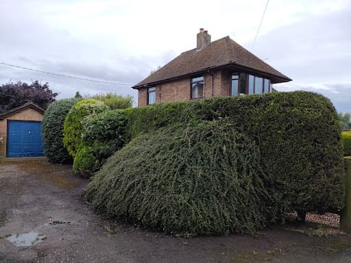 Precision Arborist Tree surgeon — Customer photo
