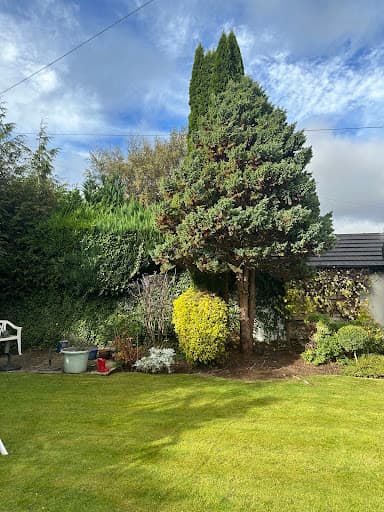 Stevenson Tree Care — Customer photo