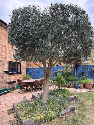 Browns Tree Solutions Ltd — Customer photo