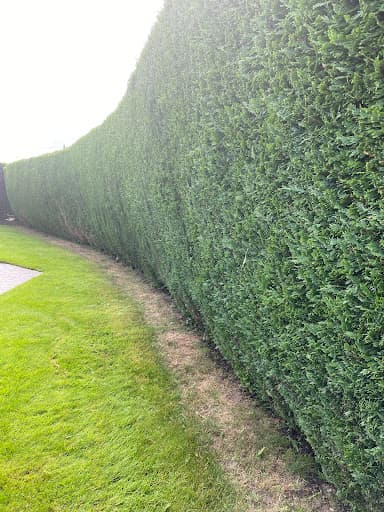 Pauls garden maintenance — Customer photo