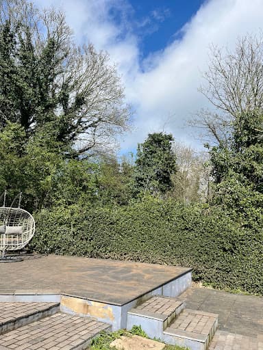 Barbizon Trees — Customer photo