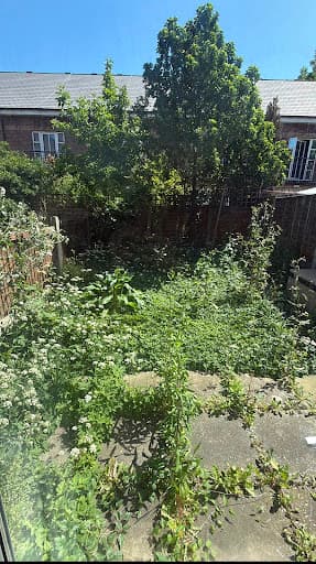 Garden Services London Green — Customer photo
