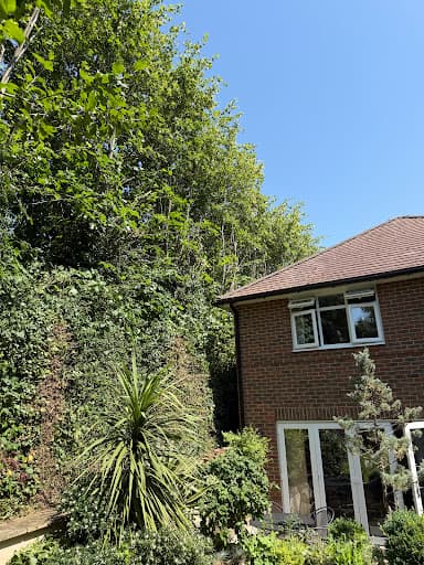 Titan Tree Services Ltd — Customer photo